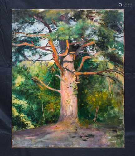 Woodland Study Oil Painting