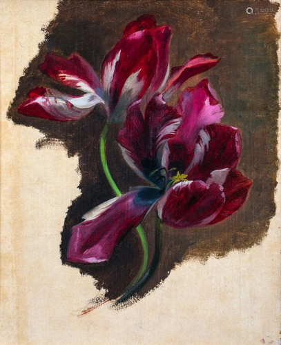 Study Of A Tulip Oil Painting