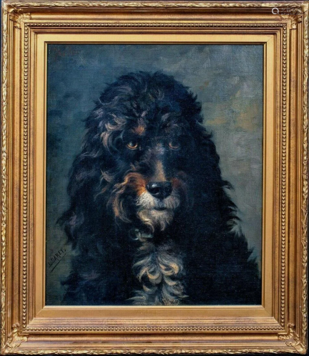 Portrait Of A Poodle Oil Painting