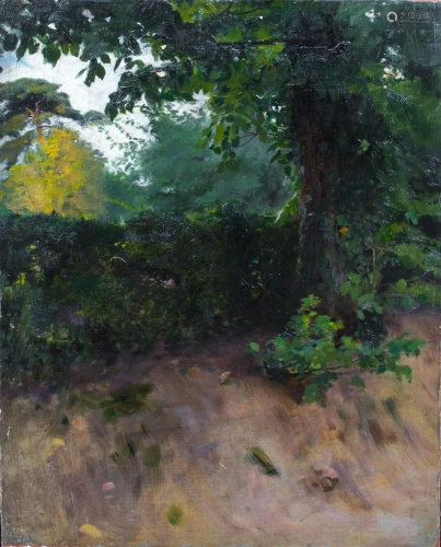 Woodland Study Oil Painting