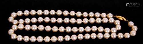 Cultured pearl necklace, a single row of uniform beads, 6mm ...