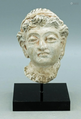 Gandharan Stucco Head - Indus Valley