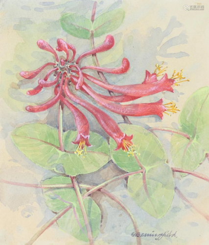 Gordon Beningfield (1936-1998) Trumpet Honeysuckle