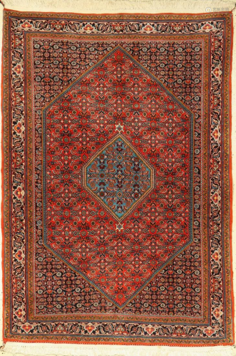 Bidjar fine, Persia, approx. 60 years, wool oncotton