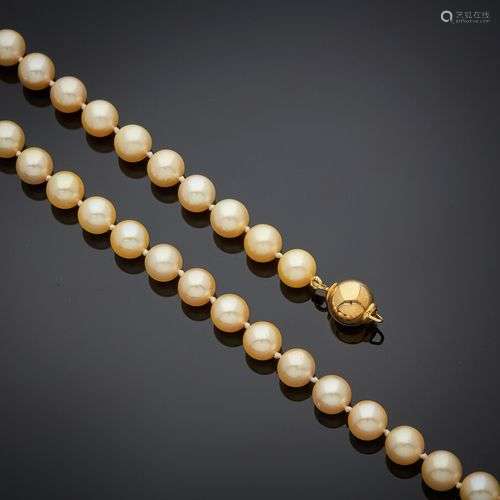 COLLIER composé d'un rang de perles de culture de couleur de...