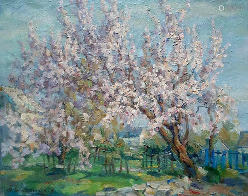 Oil painting Apricot blossoms Kovalenko Ivan