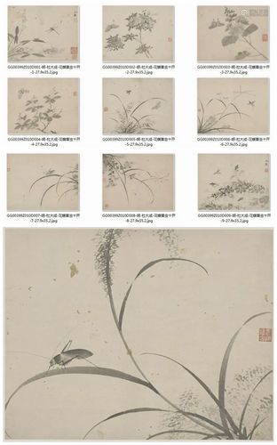 Ming dynasty flora and butterfly painting booklet by Du