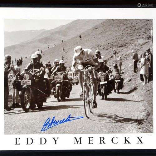 Eddy MERCKX. Photo poster noir et blanc dédicacée par le cha...