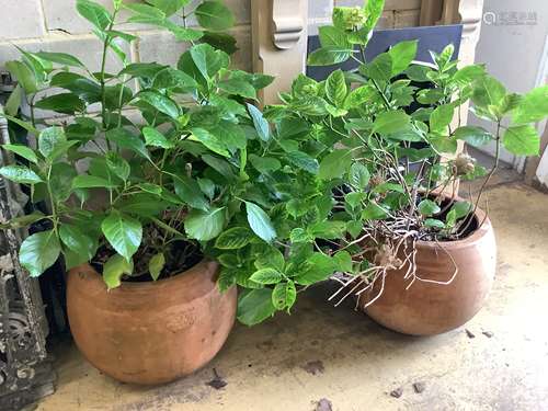 A pair of circular terracotta garden planters, stamped Ravel...