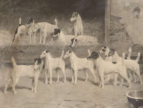 Arthur Wardle, photo-lithograph, Totteridge Eleven; foxhound...