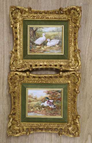 G. Williams, pair of oils on panel, Ducks and ducklings, sig...
