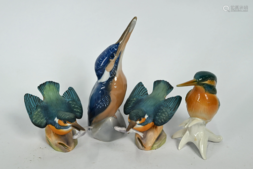 Four various Kingfishers