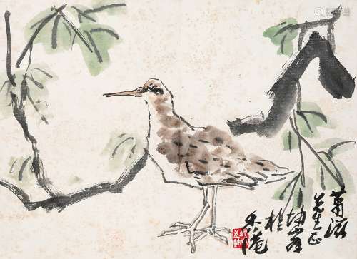 卢坤峰 鸟