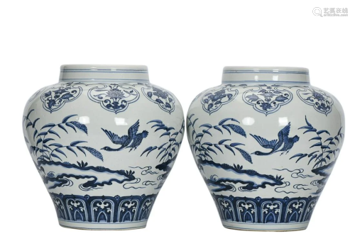 PAIR OF BLUE & WHITE 'BIRD' JARS