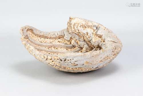 CLAUDI CASANOVAS (born 1956); a stoneware bowl form, painted...