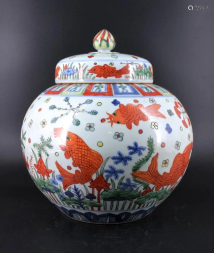 Large Ming Porcelain Fish Jar with Lid