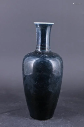 Chinese Qing Glazed Blue Porcelain Vase