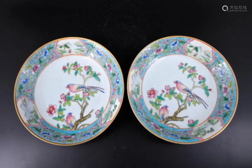 Pair of Qing Porcelain Famille Rose Plate