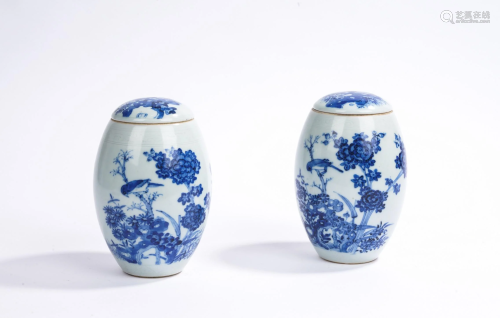 Pair of Chinese Blue and White Flowers Jars and Cover