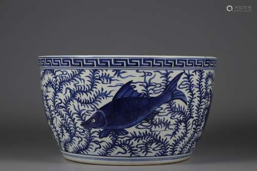 Ming Dynasty blue and white fish and grass pattern jar