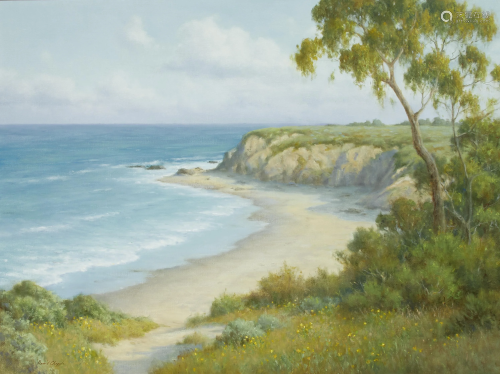 David Chapple (born 1947) Coastal Bluffs 30 x 40in