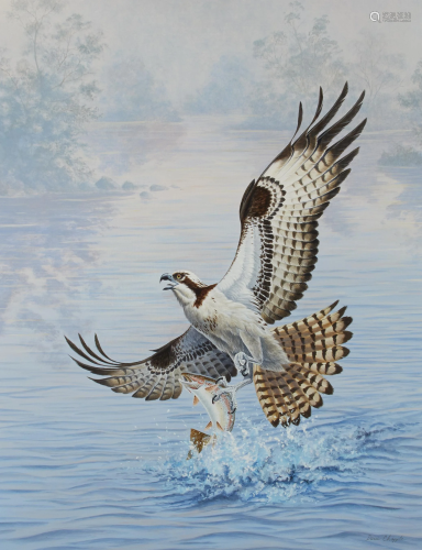 David Chapple (born 1947) Osprey with Spotted Trout 28