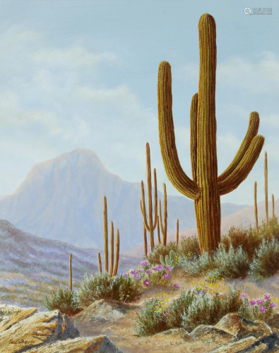 David Chapple (born 1947) Desert Cactus 20 x 16in
