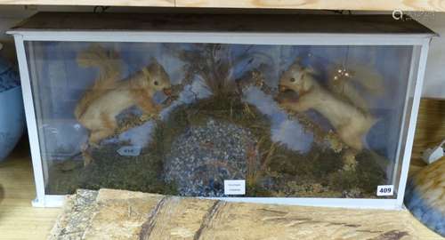 A glazed case of two taxidermic red squirrels, overall 72 x ...