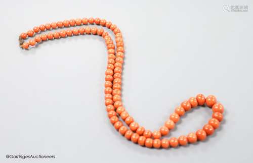 A large single strand graduated coral bead necklace, with ye...