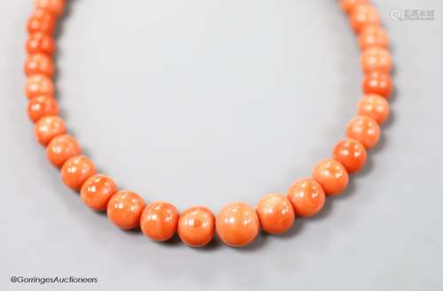 A single strand graduated coral bead choker necklace, 36cm, ...