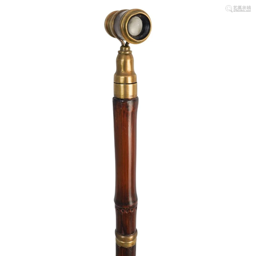 Telescope & Hidden Flask Walking Stick