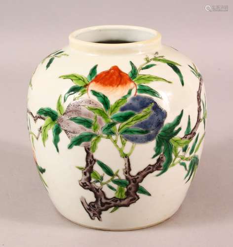 A CHINESE DOUCAI DECORATED PORCELAIN GINGER JAR - Decorate w...