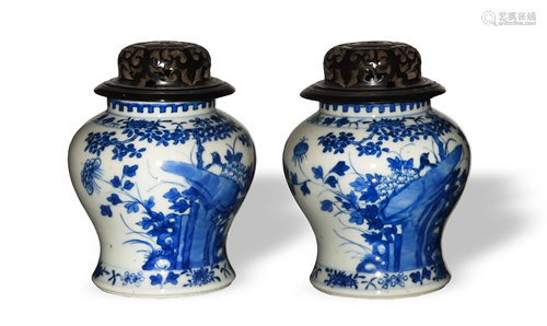 Pair of Chinese Blue and White Jars, 19th Century