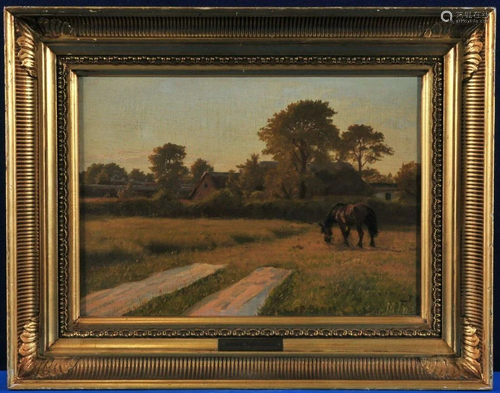 Horse In A Field Oil Painting