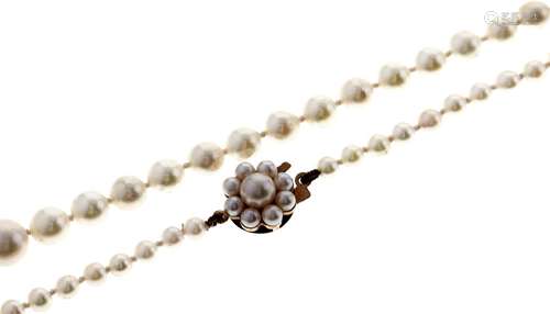 A cultured pearl necklace, 9ct clasp Good condition