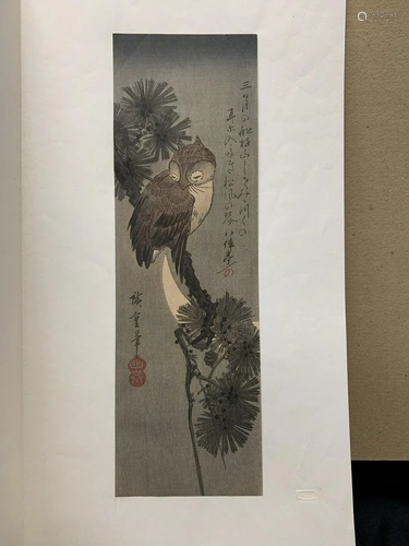 Hiroshige woodblock print- owl