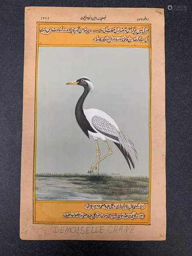 Indian art hand painting of a bird - Demoiselle Crane