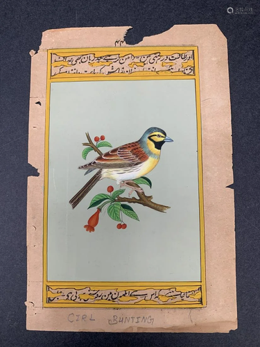 Indian art hand painting of a bird - Cirl Bunting