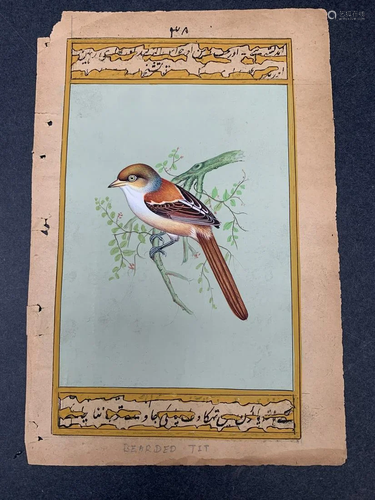 Indian art hand painting of a bird - Bearded Tit or