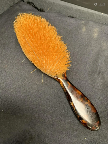 Tortoise shell brush