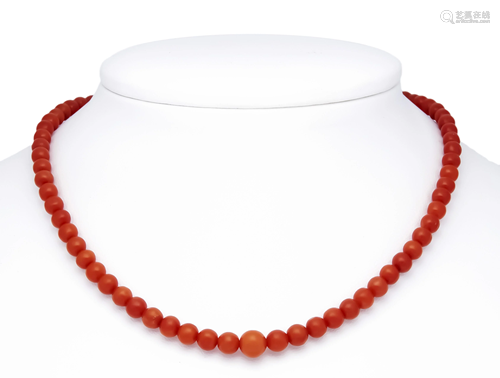 Coral necklace with spring rin