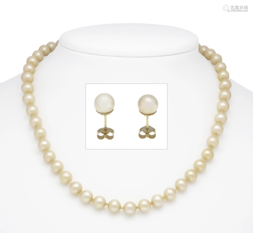 Shell pearl set GG 750/000 and