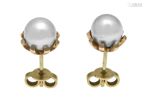 Akoya stud earrings GG 750/000