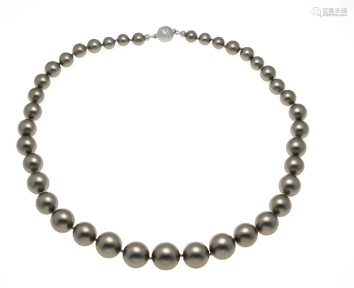 Shell pearl necklace with magn