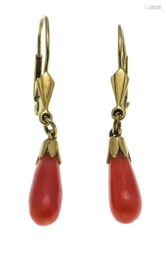 Coral earrings GG 585/000 with