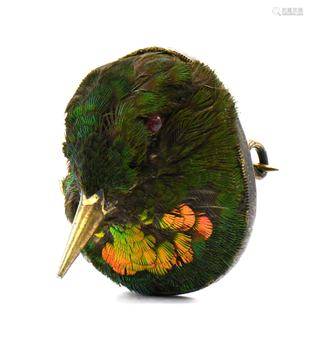 Victorian Taxidermy Hummingbird Brooch