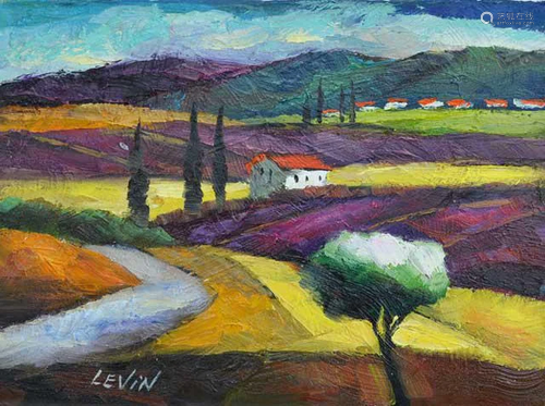 LEVIN ** THE COUNTRY ** ORIGINAL