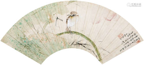 张大壮（1903－1980） 花鸟 设色纸本 扇片