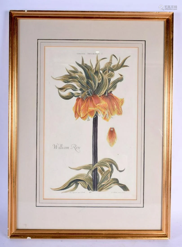 AN 18TH CENTURY I C KELLER WILLIAM REX FLORAL STILL