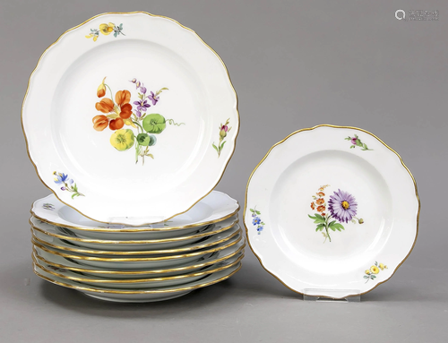 Nine plates, Meissen, Knauff-Schwert